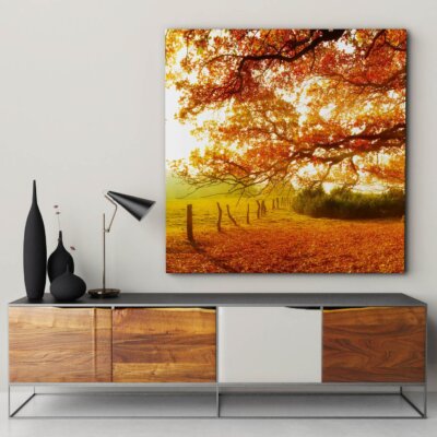 Akustikbild Herbstwald 6 (auch als Panorama bis 400 cm)