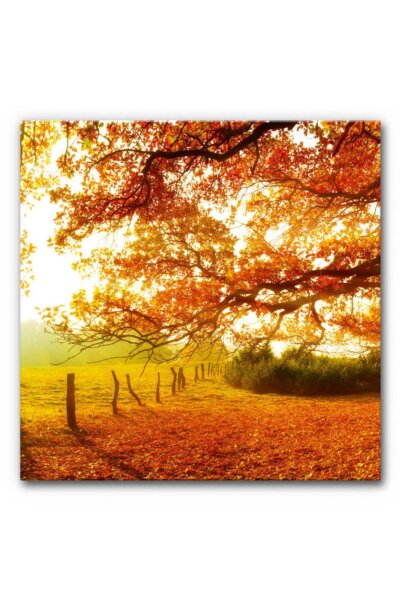 Akustikbild Herbstwald 6 (auch als Panorama bis 400 cm)
