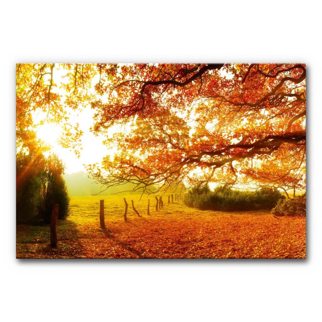 Akustikbild Herbstwald 6 (auch als Panorama bis 400 cm)