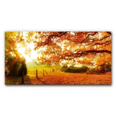 Akustikbild Herbstwald 6 – als Panorama bis 400 cm