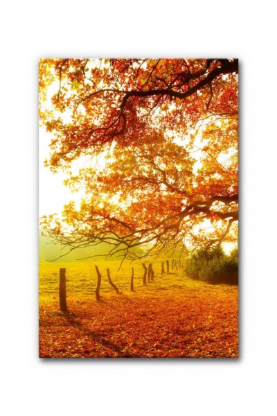 Akustikbild Herbstwald 6 (auch als Panorama bis 400 cm)
