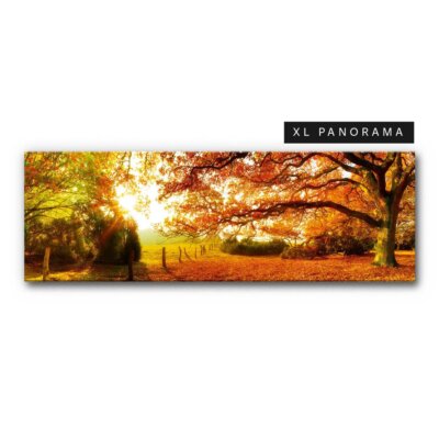 Akustikbild Herbstwald 6 (auch als Panorama bis 400 cm)