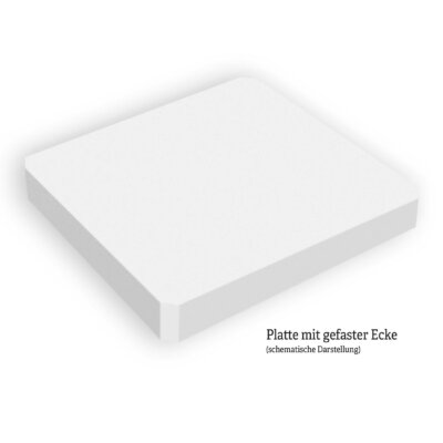 Absorberplatten aus Basotect mit Magnetbefestigung für abgehängte Rasterdecken