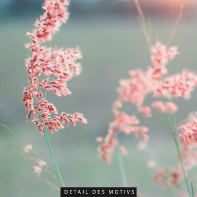 Akustikbild Spätsommer – Bild 2