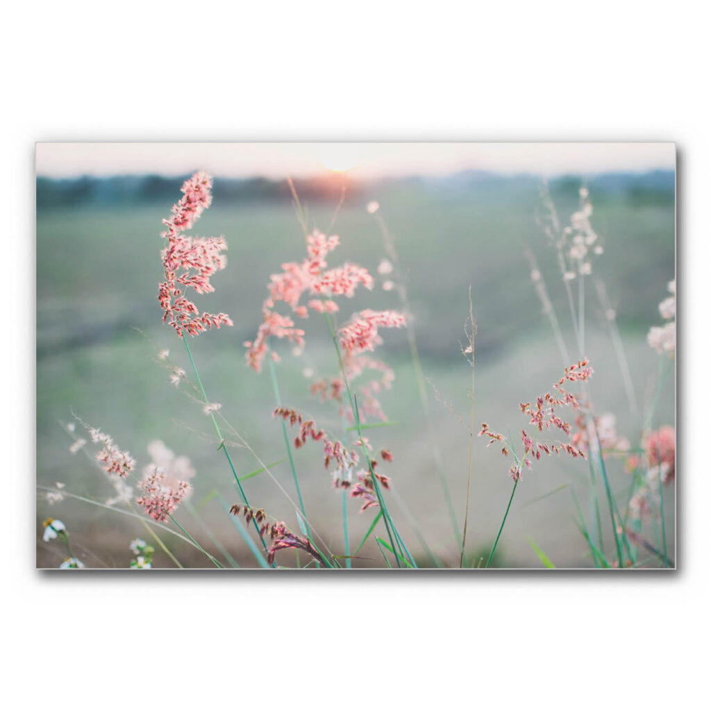 Akustikbild mit Spätsommer Wiese