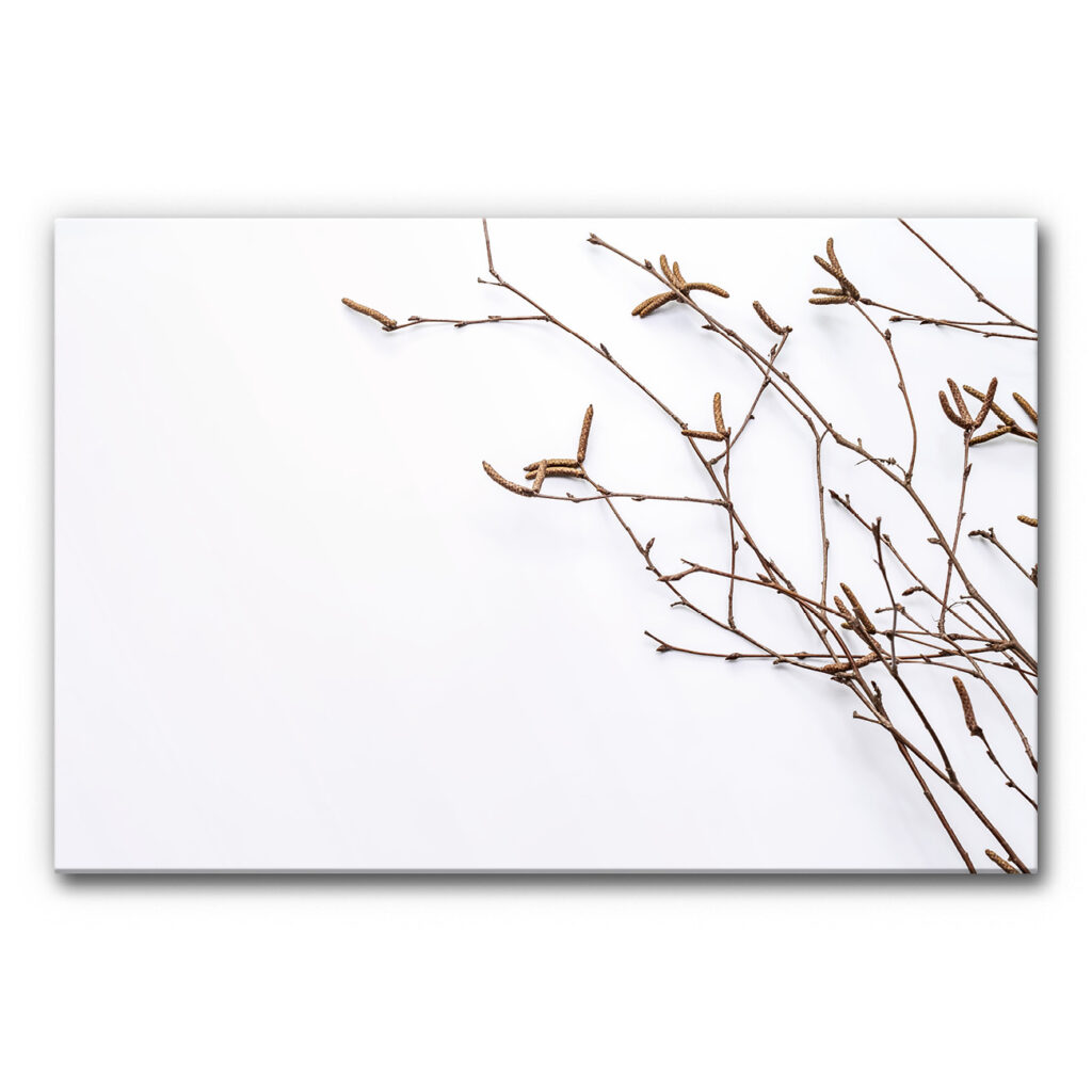 Akustikbild Birkenzweige