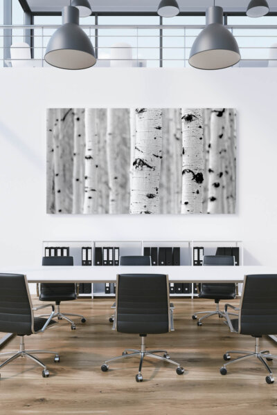 Akustikbild Birke 2