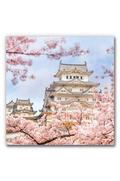Akustikbild Tempel mit Kirschblüten