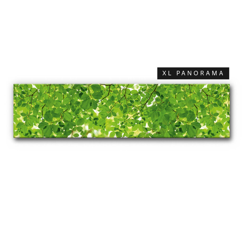 Akustikbild Waldgeflüster (auch als Panorama bis 500 cm)