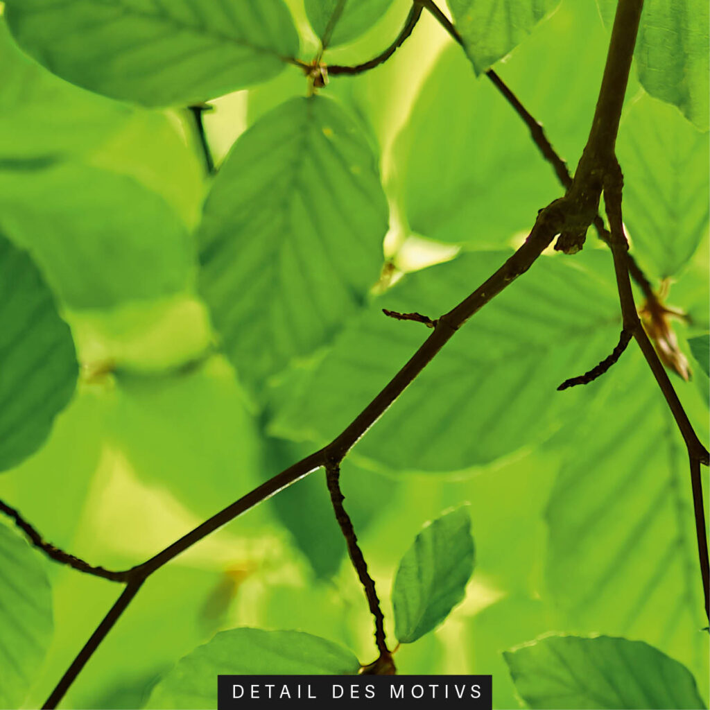 Akustikbild Waldgeflüster (auch als Panorama bis 500 cm)