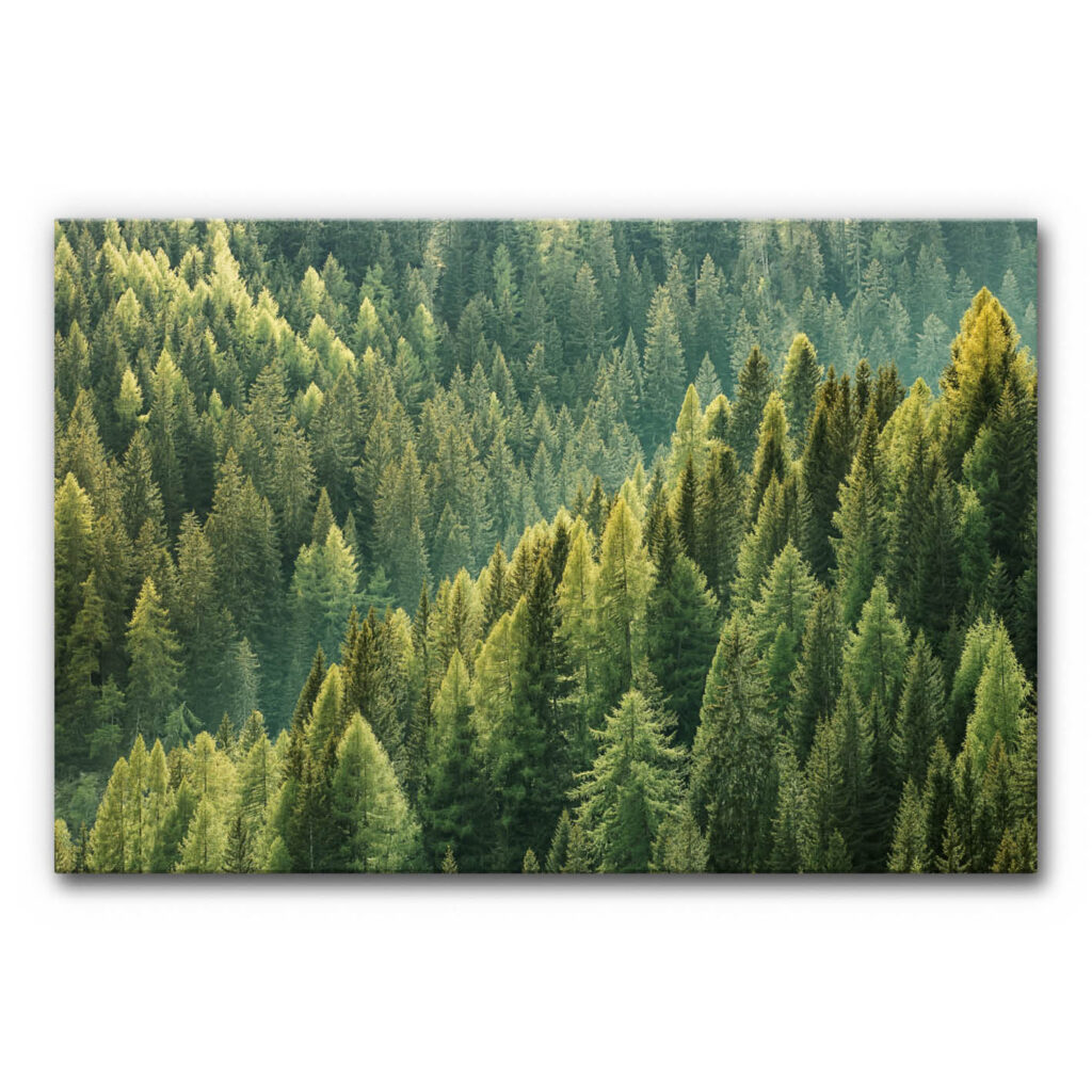 Akustikbild Der Morgen erwacht