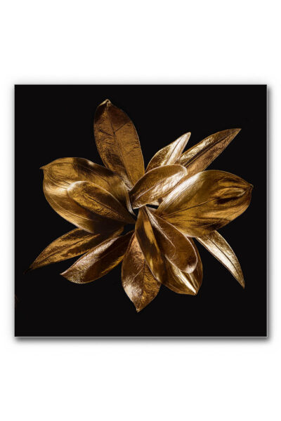 Akustikbild Golden Flower – Bild 7