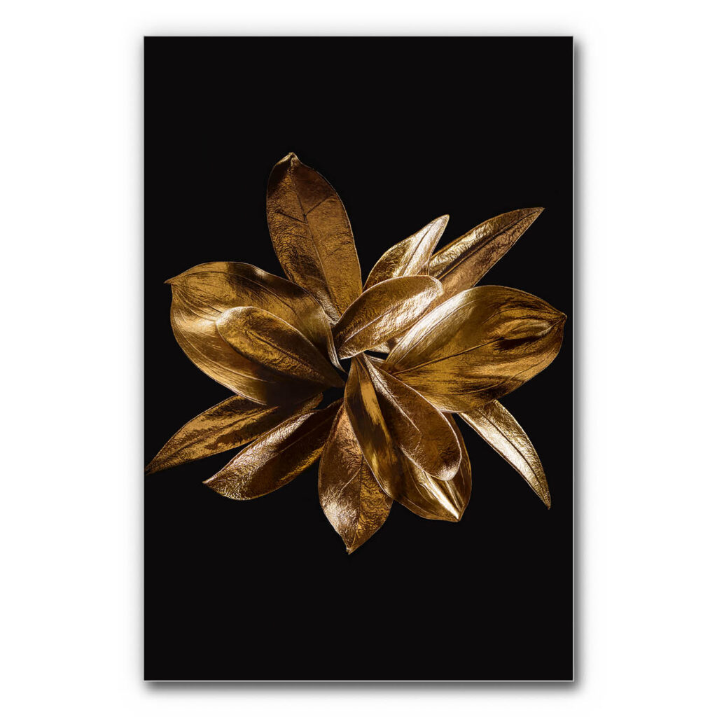 Akustikbild Golden Flower