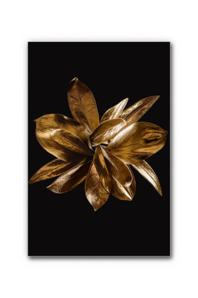 Akustikbild Golden Flower – Bild 6