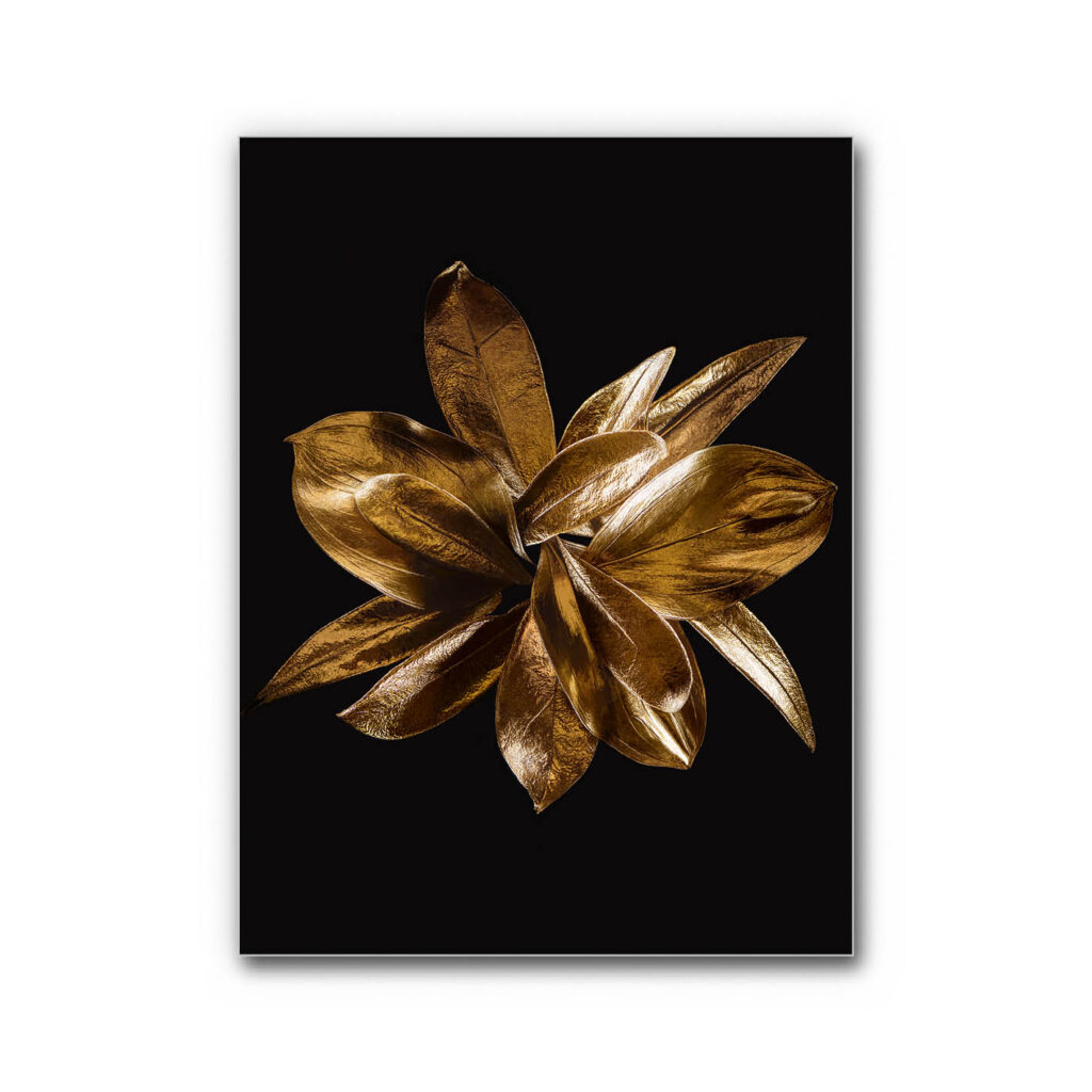 Akustikbild Golden Flower