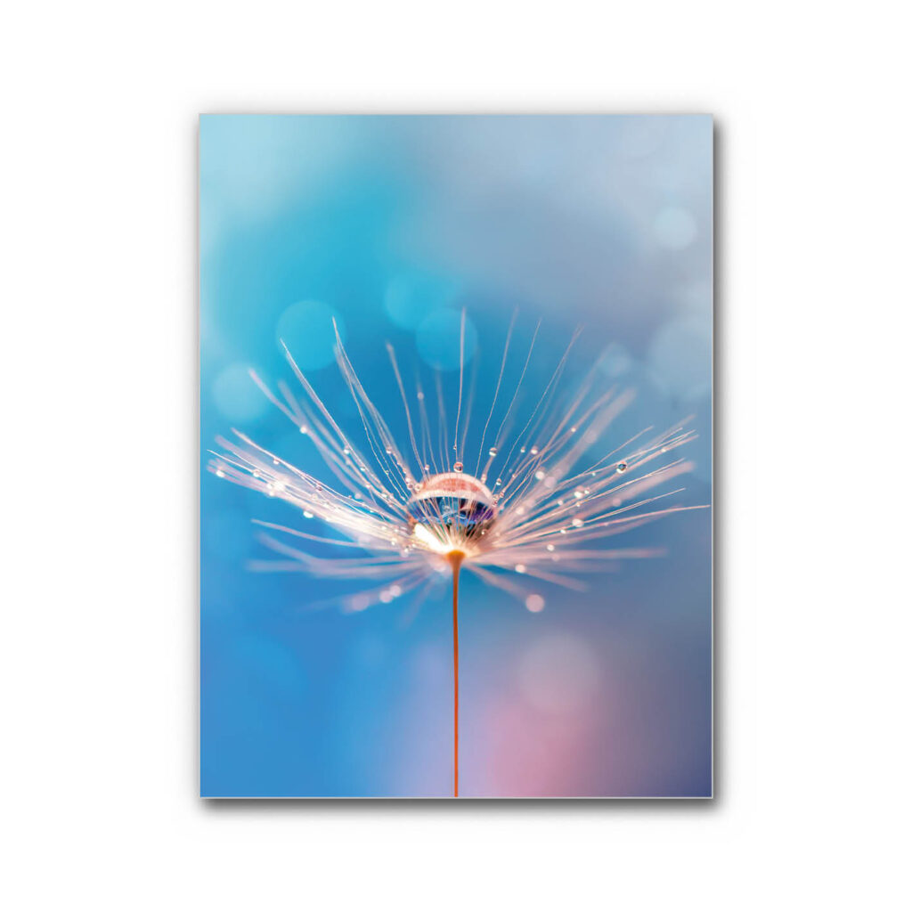 Akustikbild Blauer Traum