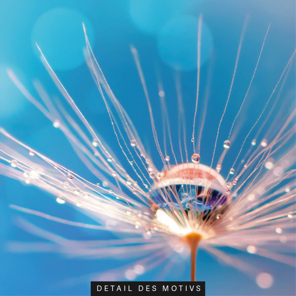 Akustikbild Blauer Traum