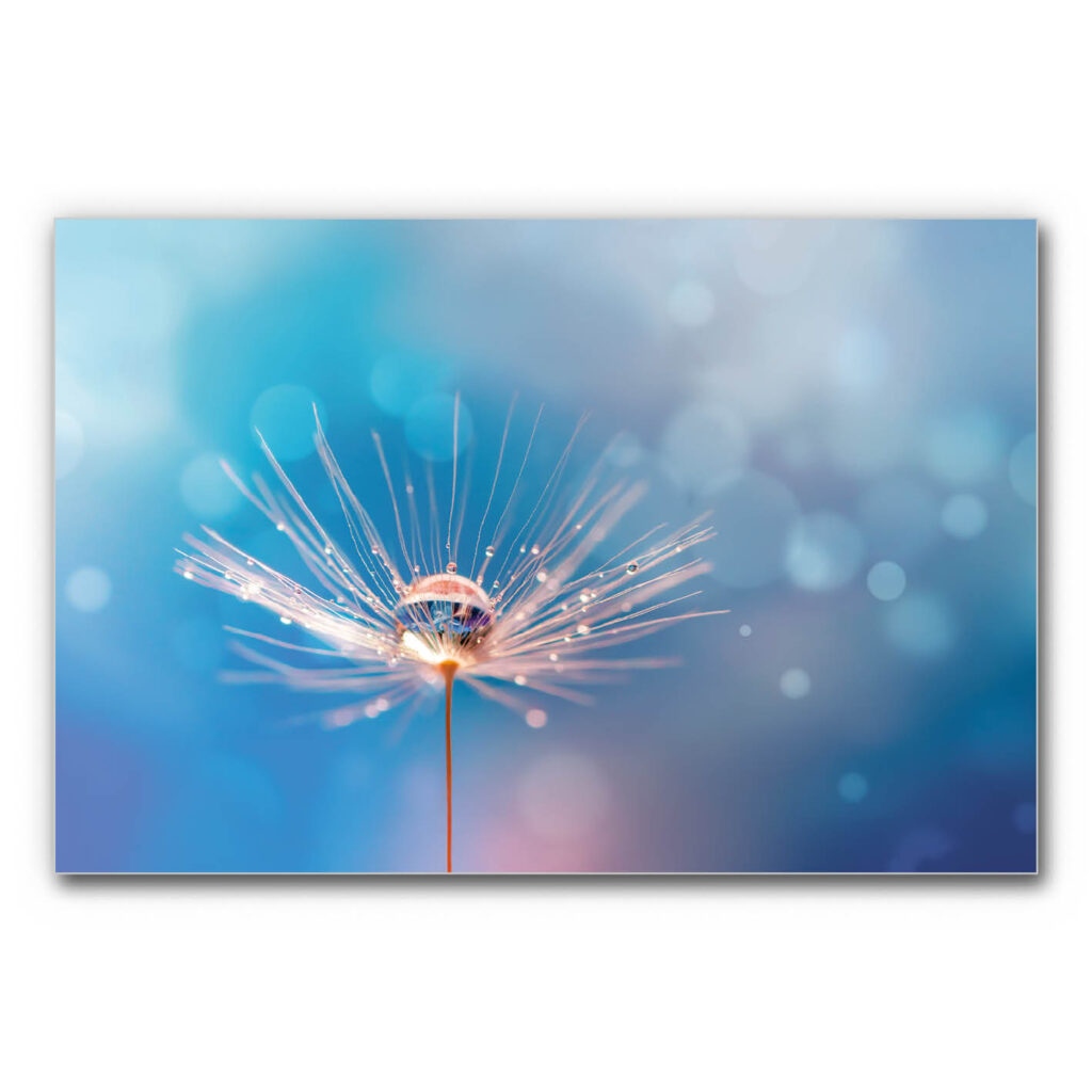 Akustikbild Blauer Traum