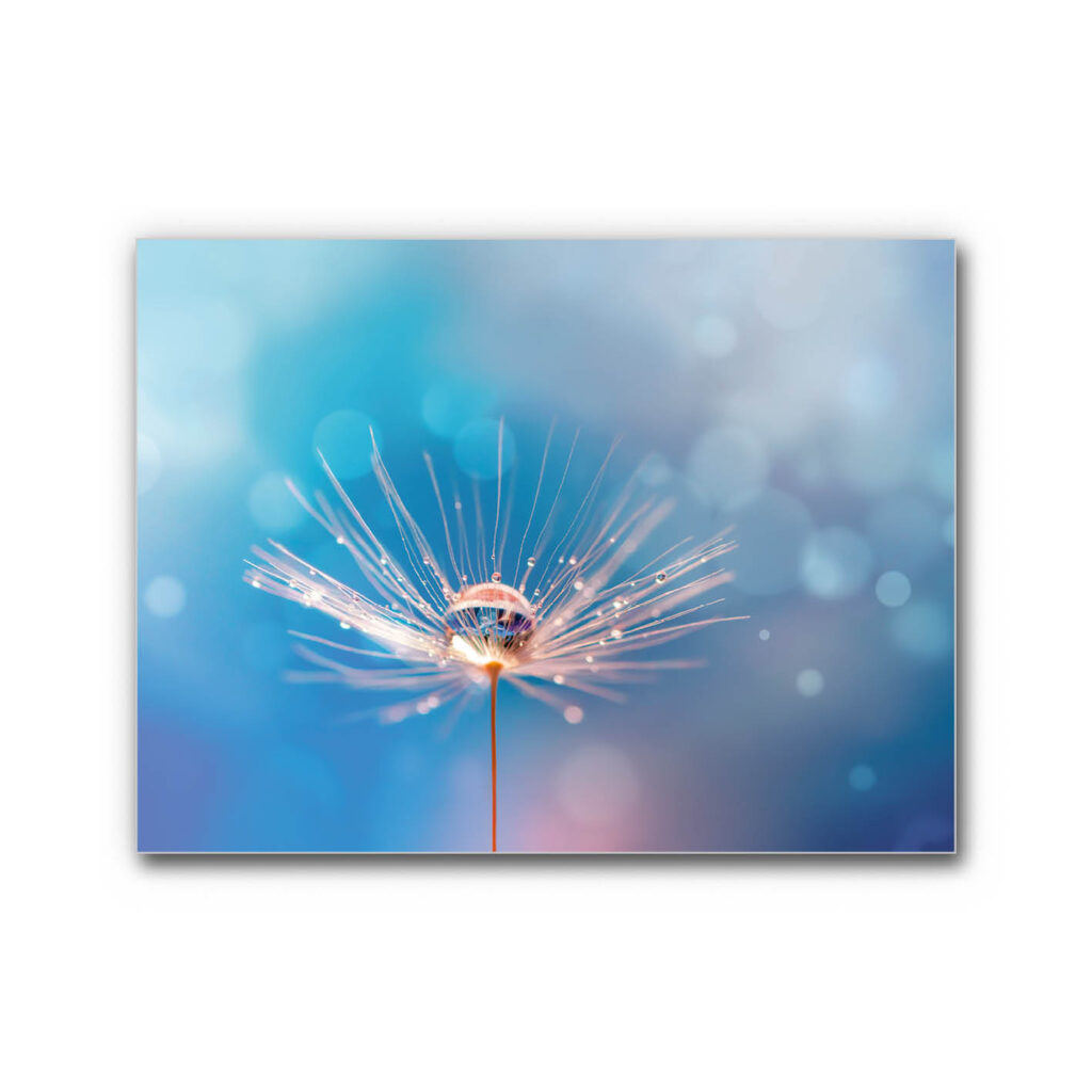 Akustikbild Blauer Traum