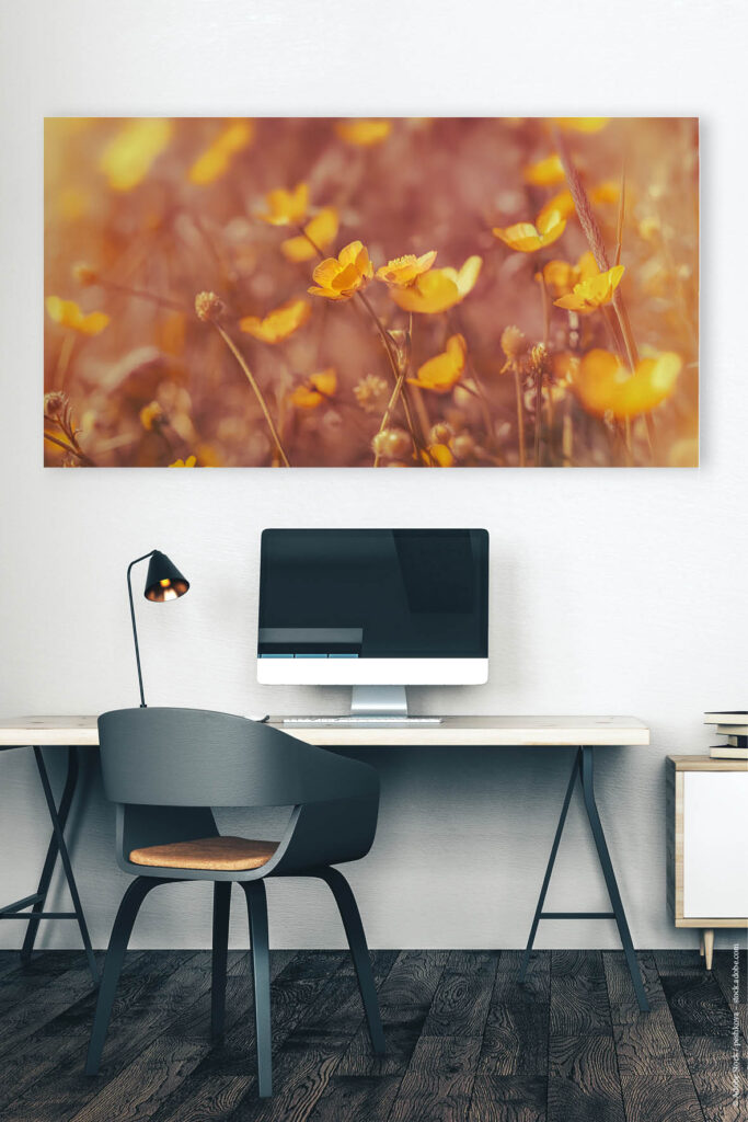 Akustikbild Sommerleuchten