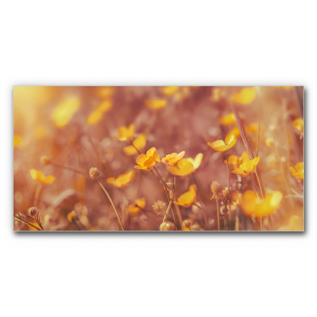 Akustikbild Sommerleuchten