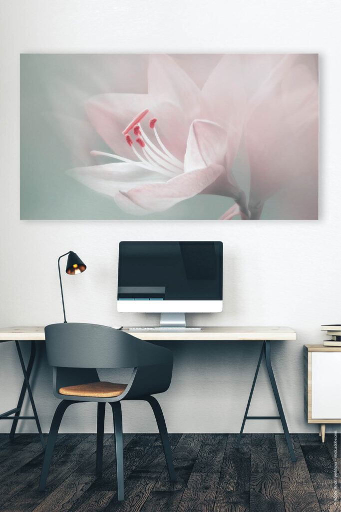 Akustikbild Blütenpoesie