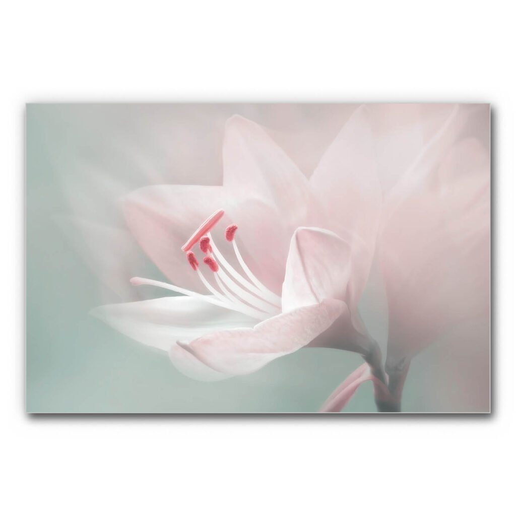 Akustikbild mit Lilie für Wellnessräume