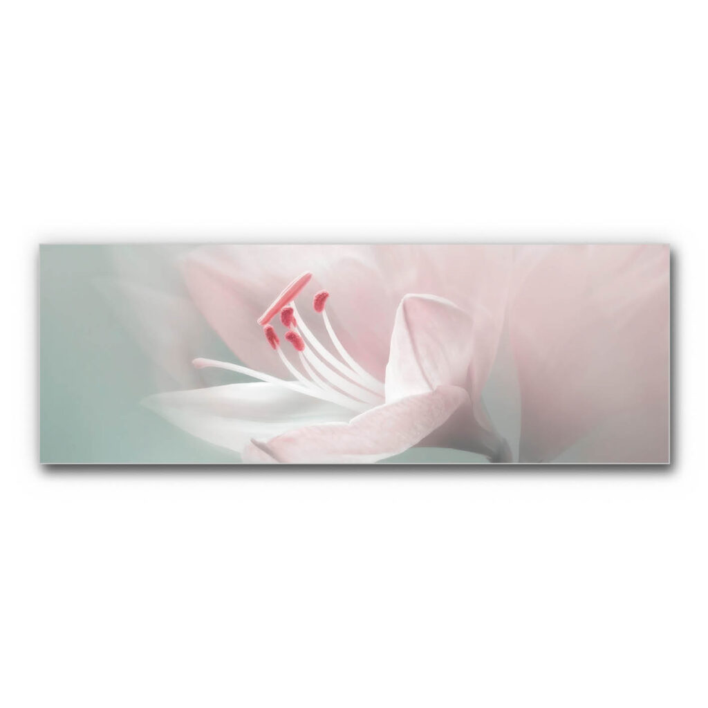 Akustikbild Blütenpoesie