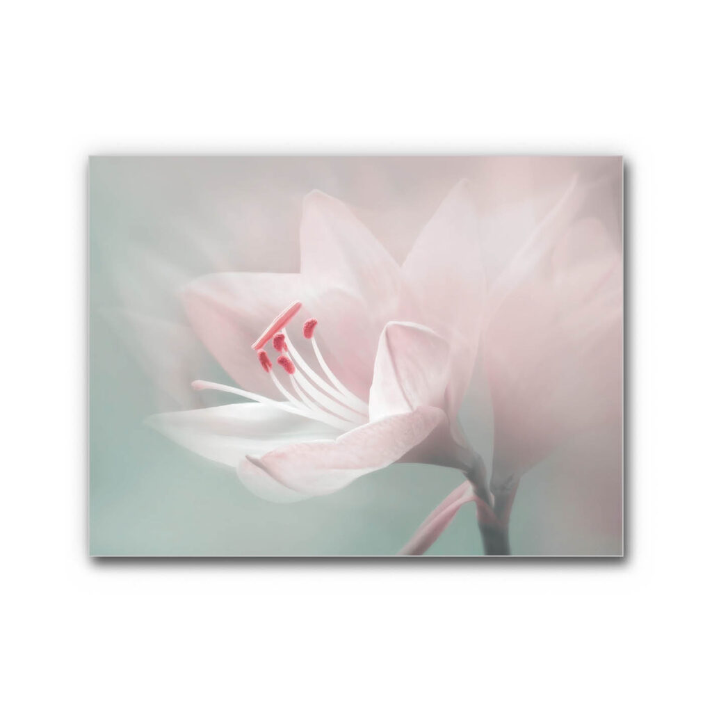 Akustikbild Blütenpoesie