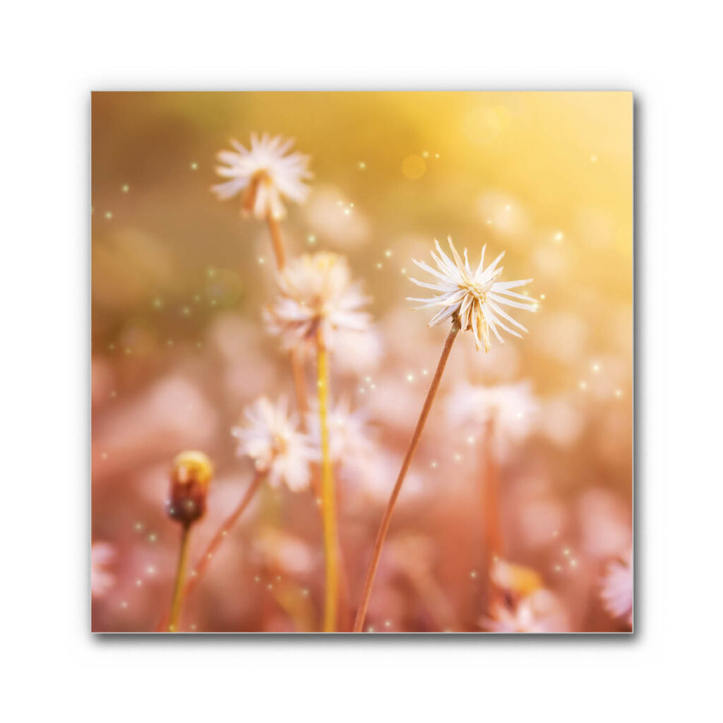 Akustikbild Lichtgeflüster