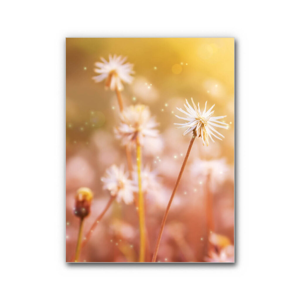 Akustikbild Lichtgeflüster