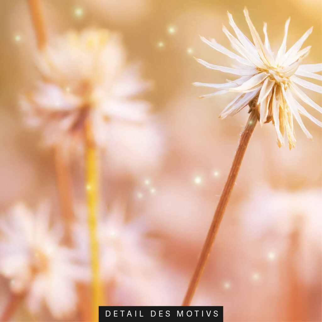 Akustikbild Lichtgeflüster