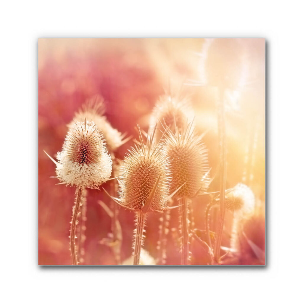 Akustikbild Sommerabend