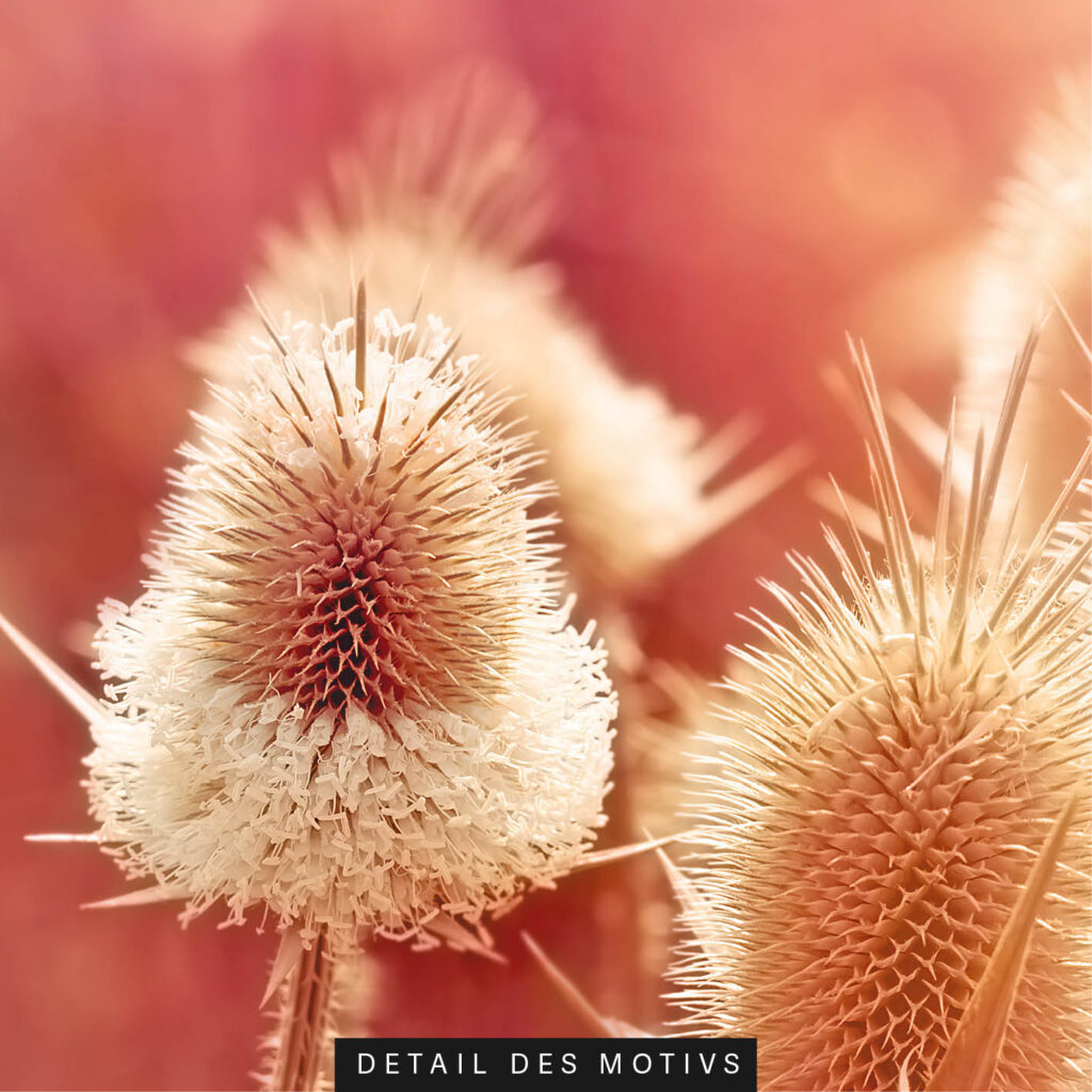 Akustikbild Sommerabend