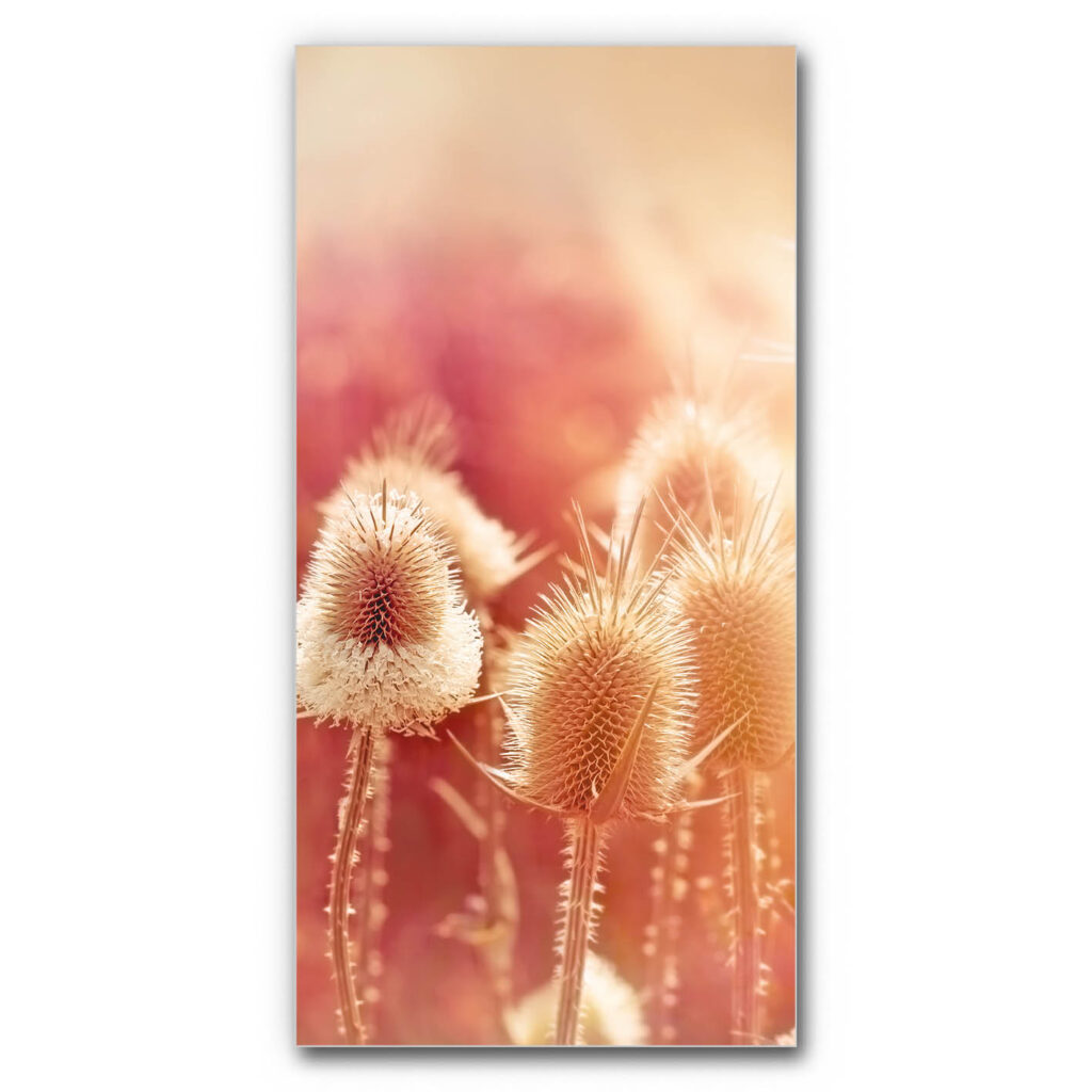 Akustikbild Sommerabend