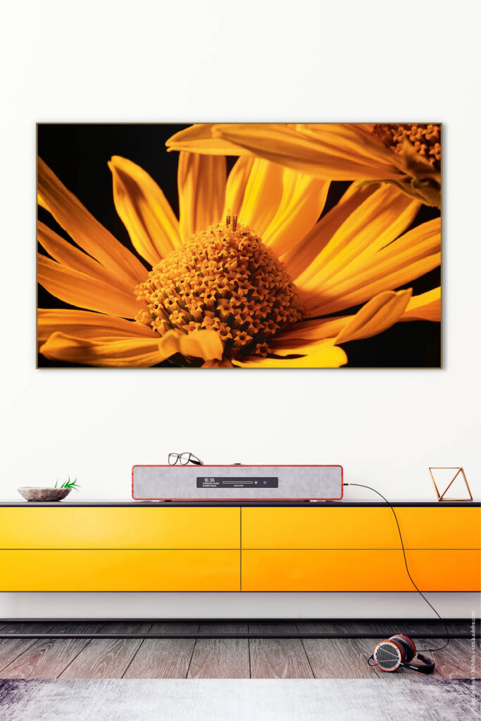 Akustikbild Goldblüte