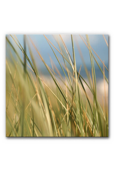 Akustikbild Gräser 2