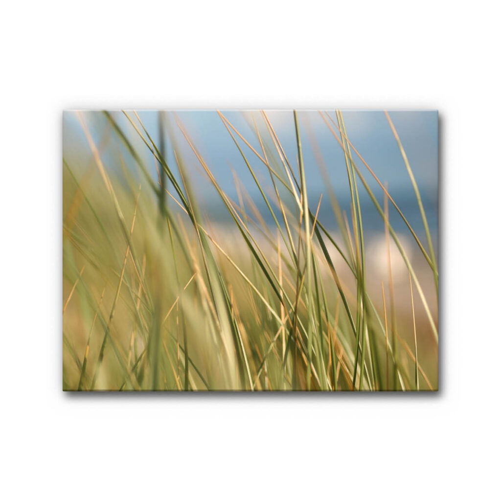 Akustikbild Gräser 4