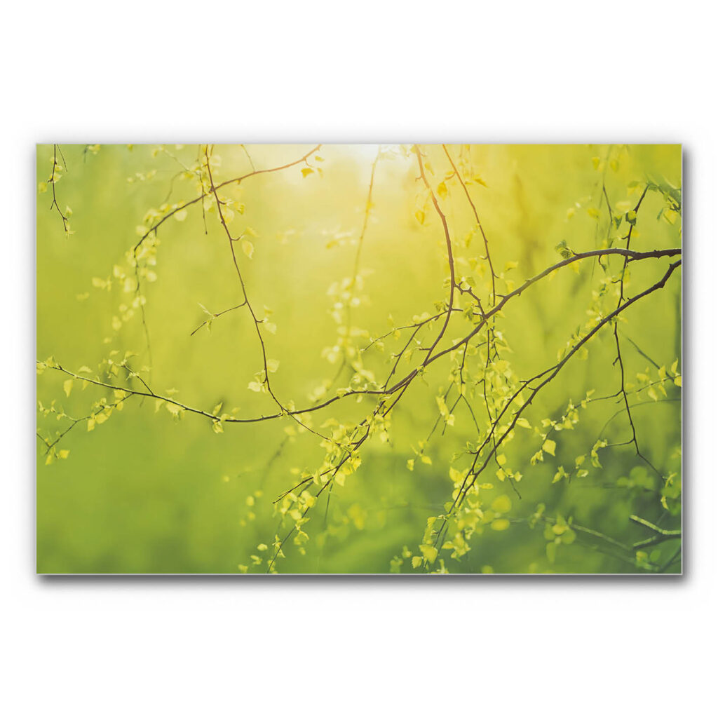 Akustikbild Frühlingszauber