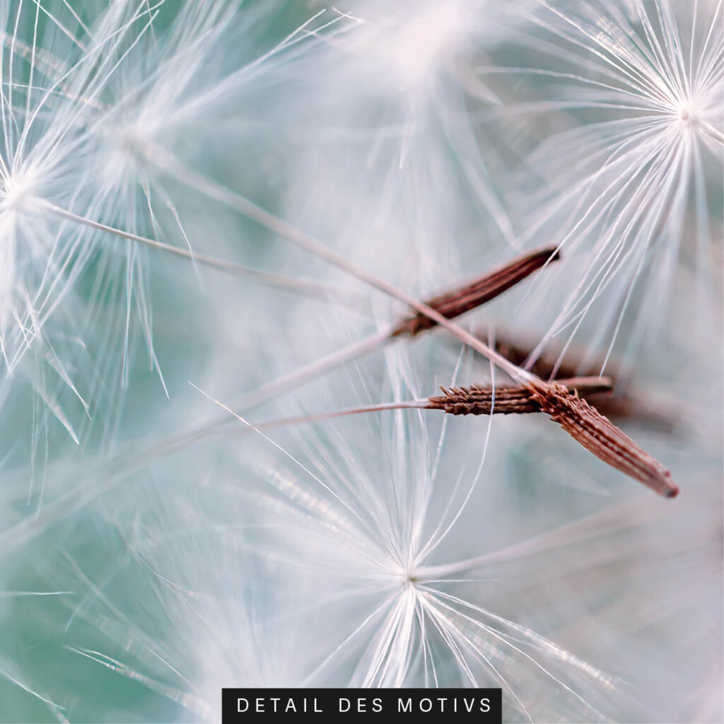 Akustikbild Federleicht im Wind