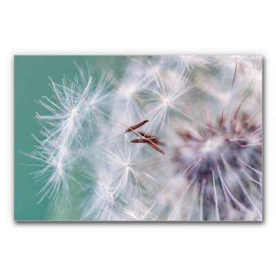 Akustikbild Federleicht im Wind