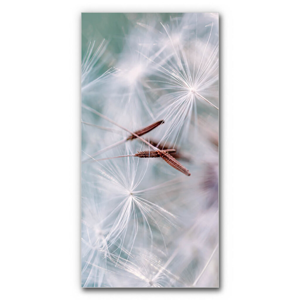 Akustikbild Federleicht im Wind