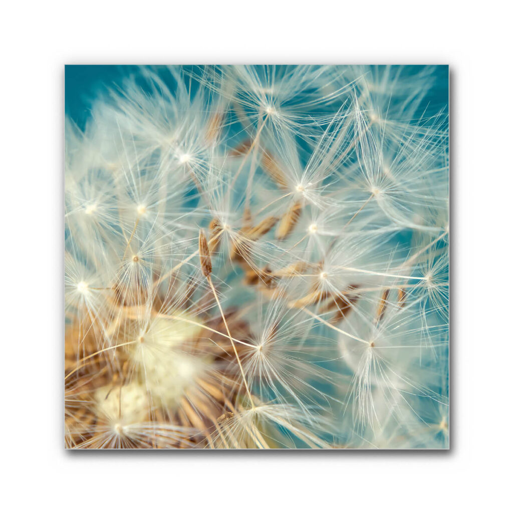 Akustikbild Leichtigkeit des Augenblicks