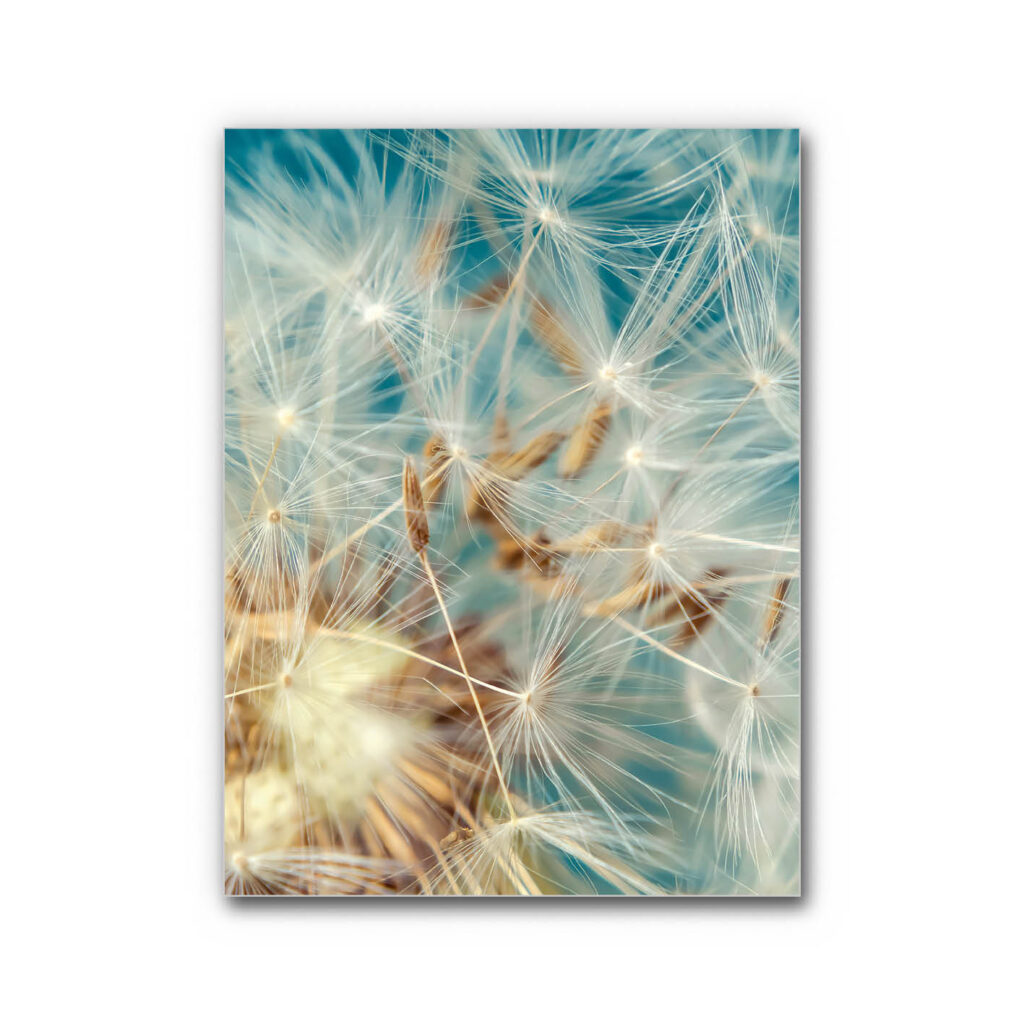 Akustikbild Leichtigkeit des Augenblicks