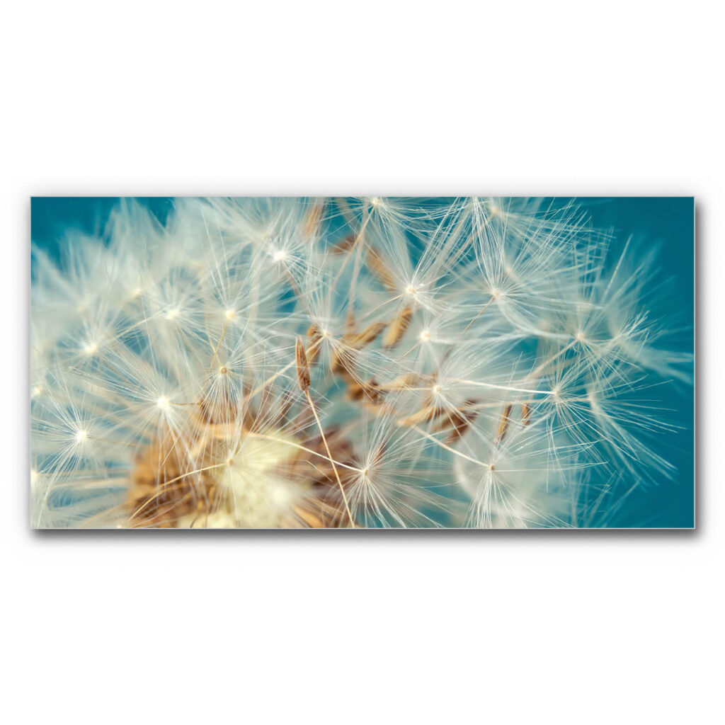 Akustikbild Leichtigkeit des Augenblicks