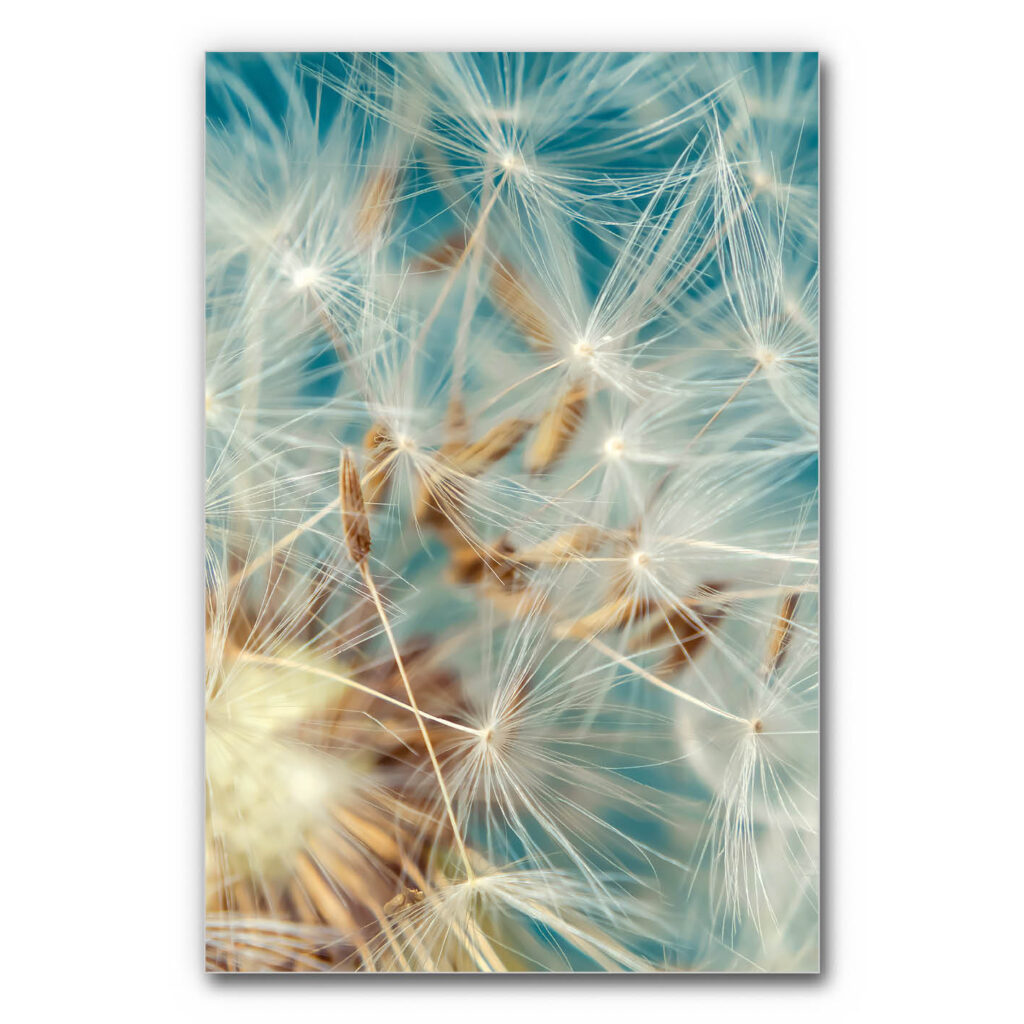 Akustikbild Leichtigkeit des Augenblicks