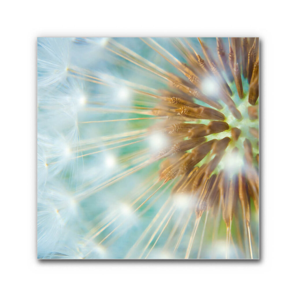 Akustikbild Flug des Lichts