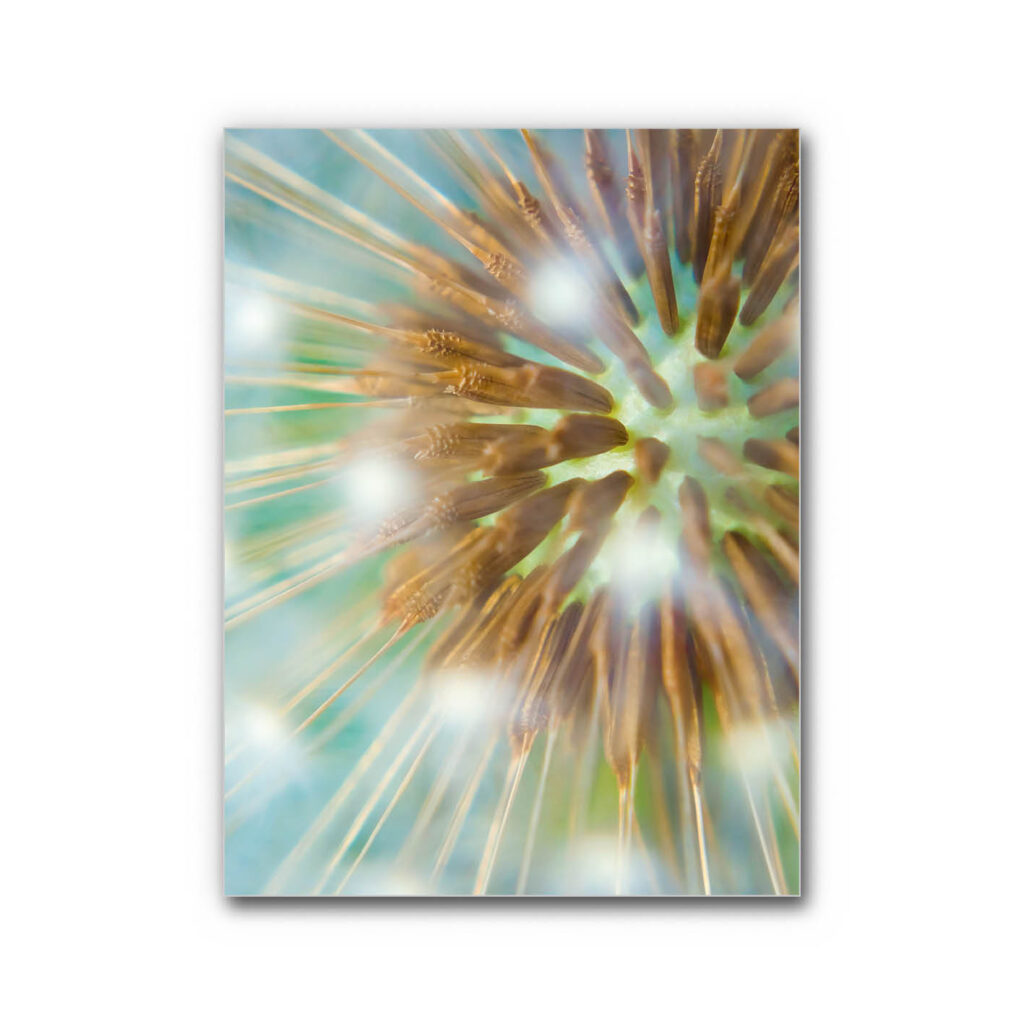 Akustikbild Flug des Lichts