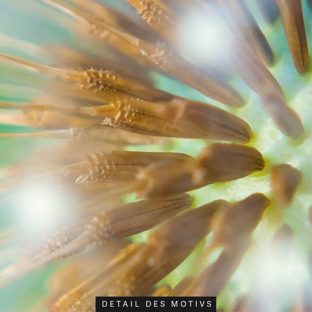 Akustikbild Flug des Lichts