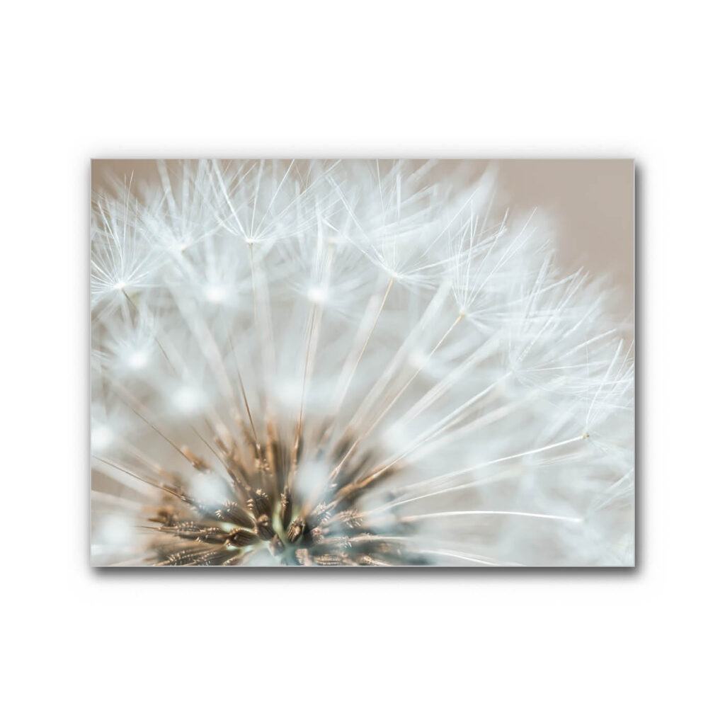 Akustikbild Sommerhauch